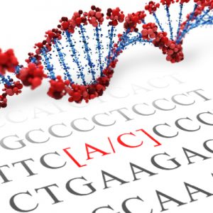 DRD2 SNP Genotyping