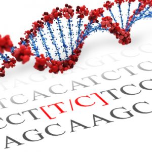 NR3C1 SNP Genotyping