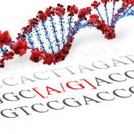 OPRM1 SNP Genotyping