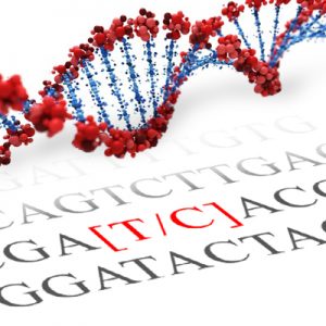 CLOCK SNP Genotyping