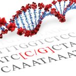 MR, NR3C2 SNP Genotyping