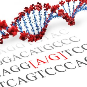 OXTR SNP Genotyping