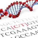 BDNF SNP Genotyping