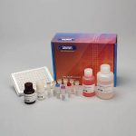 Salivary ELISA Kit