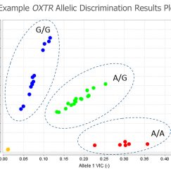 Example OXTR Data From Saliva