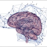 Neurosience Data