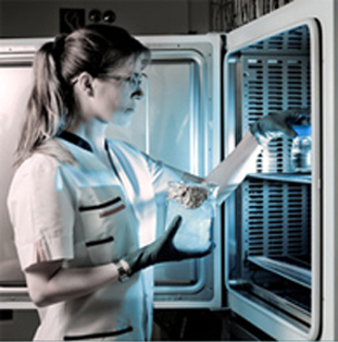 Postdoctoral Scholar Employment Opportunity At Pennsylvania State