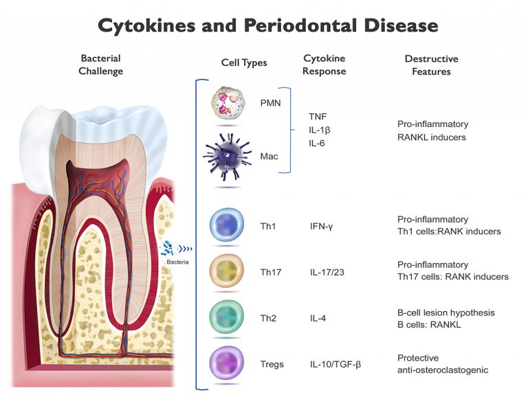 Clarifying Cytokines in Saliva Salimetrics