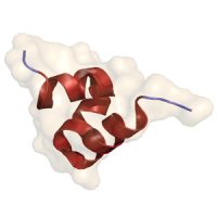 Osteocalcin in Saliva