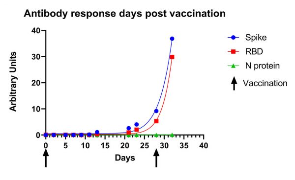 SARS-CoV-2 IgG Vaccine Response Graph