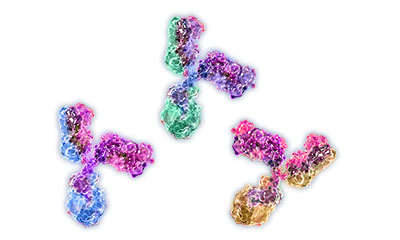 sars-cov-2-antibody-assay