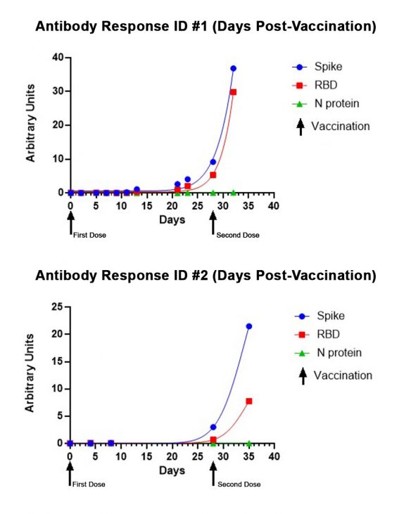 sars-cov-2-igg-antidboy-vaccine-response-in-saliva